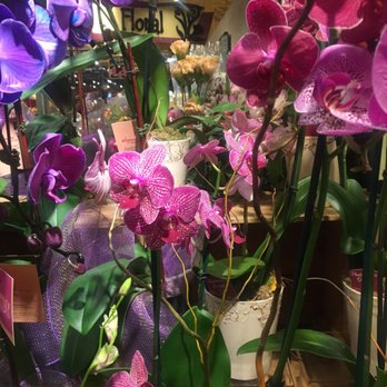 Wegmans - Grocery Near Me - Burlington, Massachusetts Wegmans - Grocery Near Me - Burlington, Massachusetts