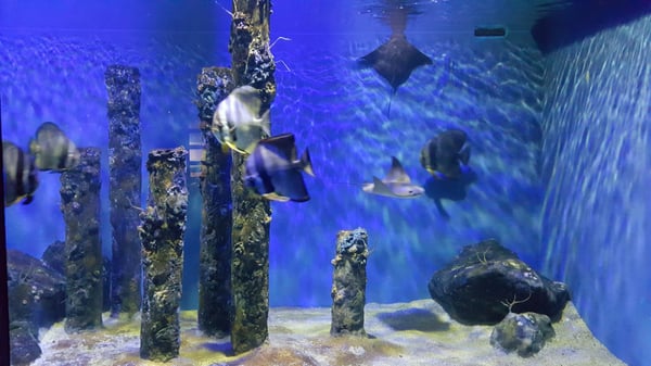 Underwater World Langkawi by null