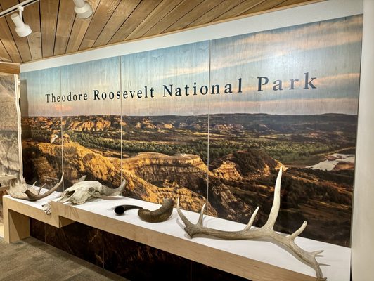 Theodore Roosevelt National Park by null
