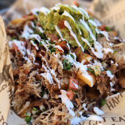 Happy Cat Eats - Carnitas fries