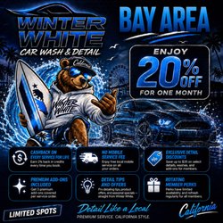Winter White Mobile Car Wash & Detail