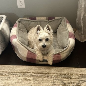 Snook Veterinary Clinic - Millie - Veterinarians Near Me - Snook, Texas Snook Veterinary Clinic - Millie - Veterinarians Near Me - Snook, Texas
