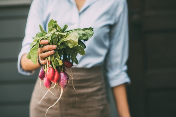 The Kitchen for Exploring Foods by null