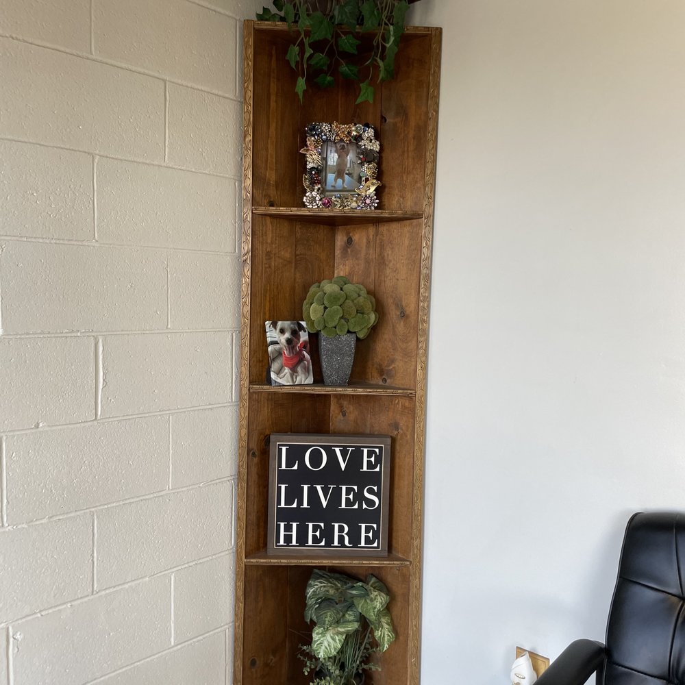 Smilin Dog Llc - Love Lives Here - Pet Sitting Near Me - Roseville, Michigan Smilin Dog Llc - Love Lives Here - Pet Sitting Near Me - Roseville, Michigan
