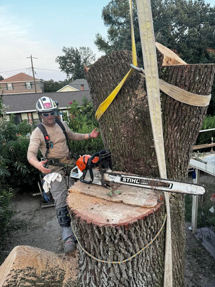 APEX TREE SERVICE - Updated May 2026 - Request a Quote - 1615 Hwy 11 S ...