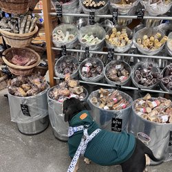 Mud Bay - Picking my treats