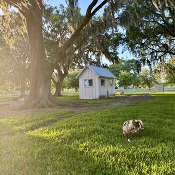 Congaree and Penn - Farms Near Me - Jacksonville, Florida