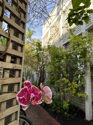 Simonton Court Hotel Key West by null
