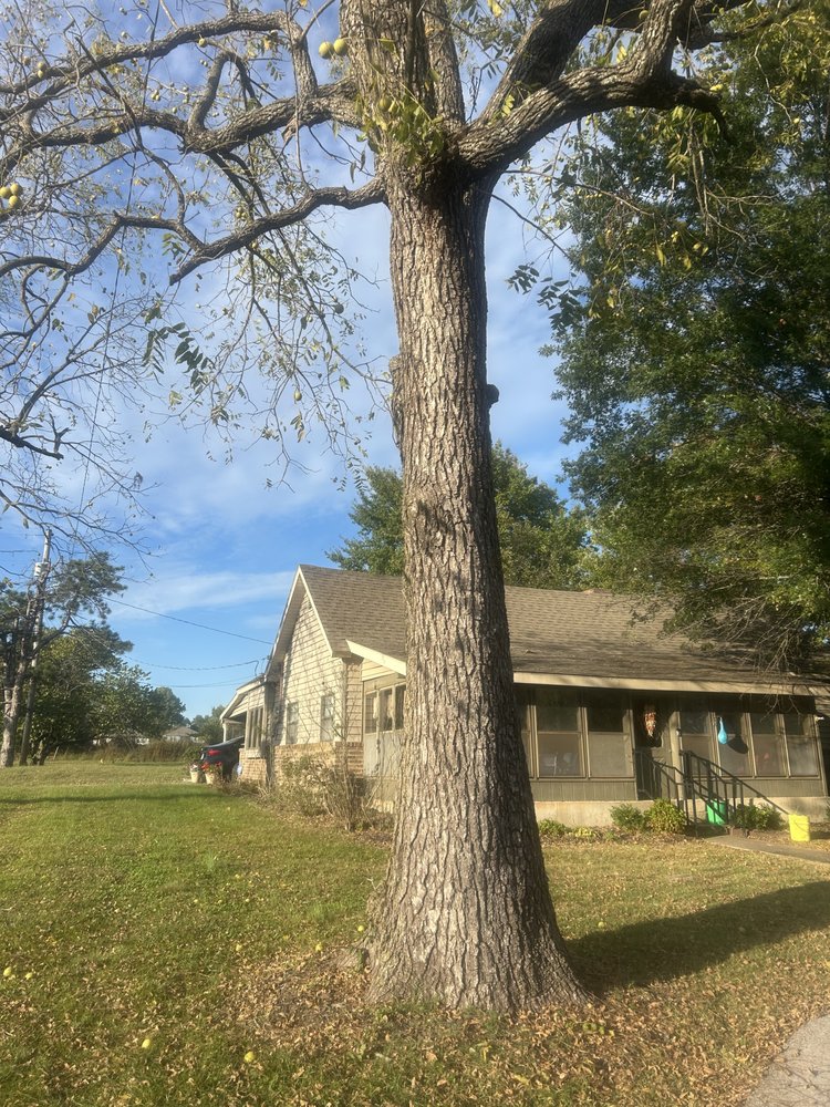 Huffman's Tree Service - tree service in Elkins, AR
