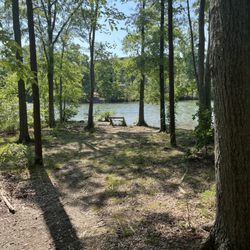 Parham Park