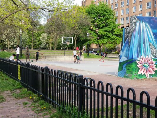 David Crombie Park by null