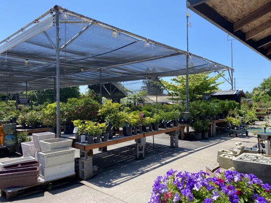 Portland Nursery by null