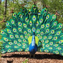 Passport Health DC Travel Clinic - Peacock