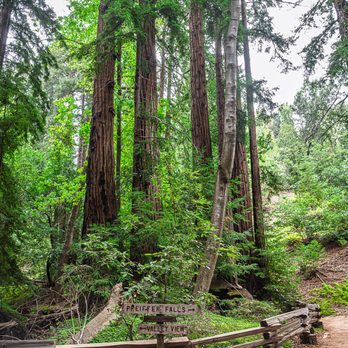 Pfeiffer Big Sur State Park - Parks Near Me Pfeiffer Big Sur State Park - Parks Near Me