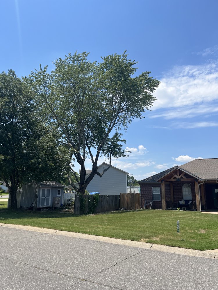 Reyes Tree Service - tree service in Benton, AR