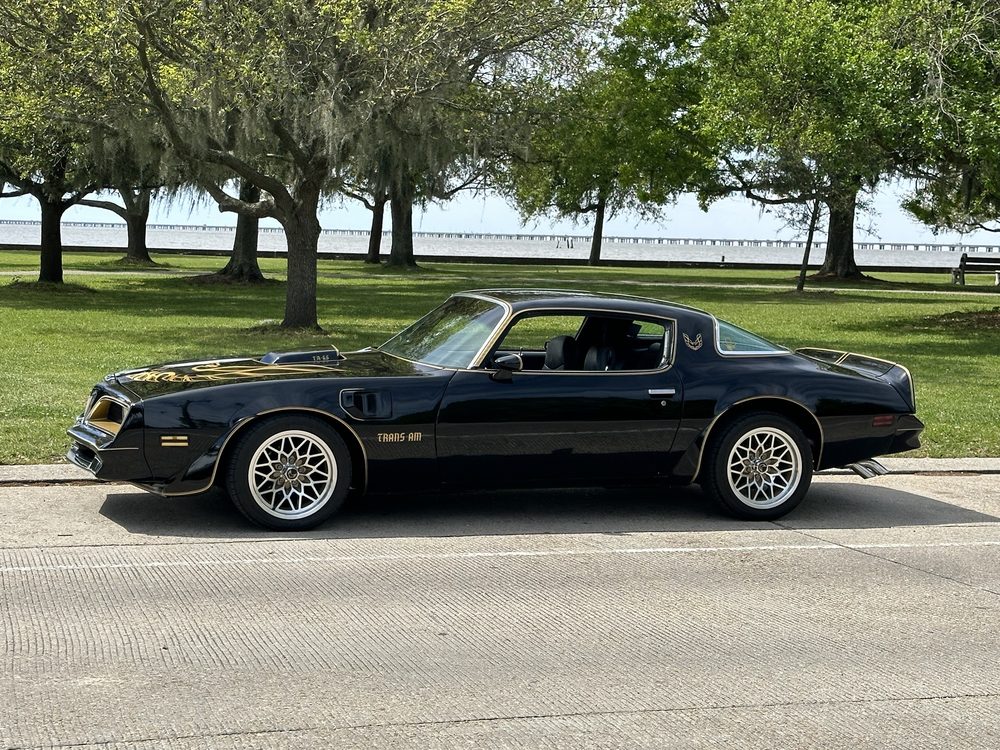 PONTCHARTRAIN CUSTOMS & COLLISION Updated August 2024 23 Photos