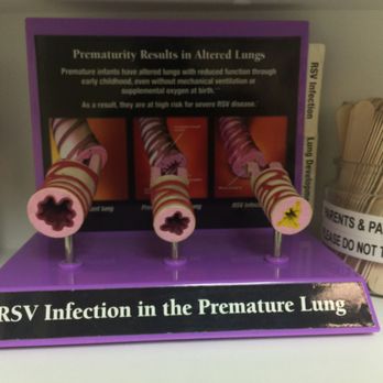 Los Gatos Pediatrics - Infections for premature lung diagram. - Pediatricians Near Me - Los Gatos, California