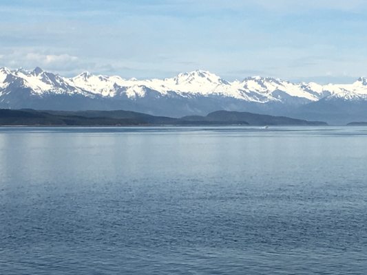 National Shrine of St. Thérèse by null