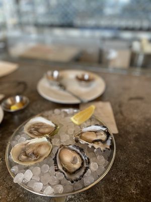 Shuck Oyster Bar by null