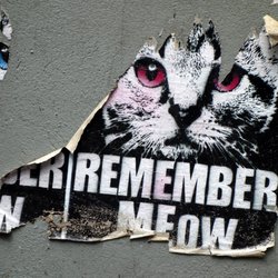 Alternative Cologne Tours - MEOW aus Köln.