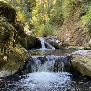 Sweet creek trail - Great swimming hole! - Hiking Near Me - Mapleton, Oregon Sweet creek trail - Great swimming hole! - Hiking Near Me - Mapleton, Oregon