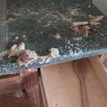 Dusting Bunny - Grease and slim - Home Cleaning Near Me