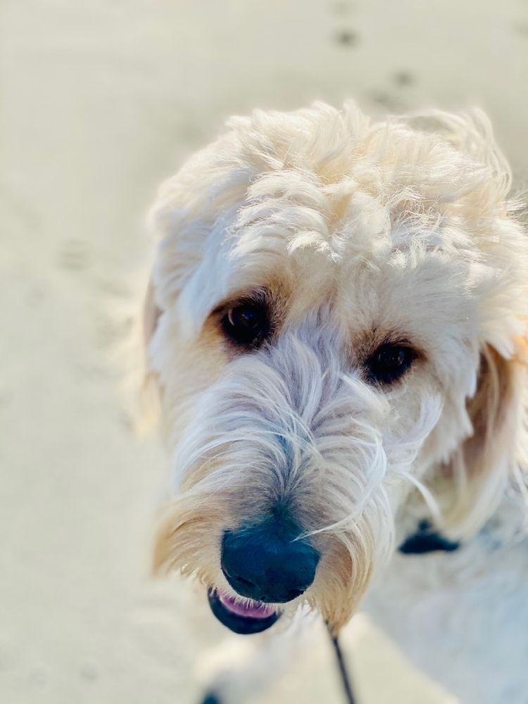 MANITOU BEACH Updated September 2024 9800 Manitou Beach Rd NE