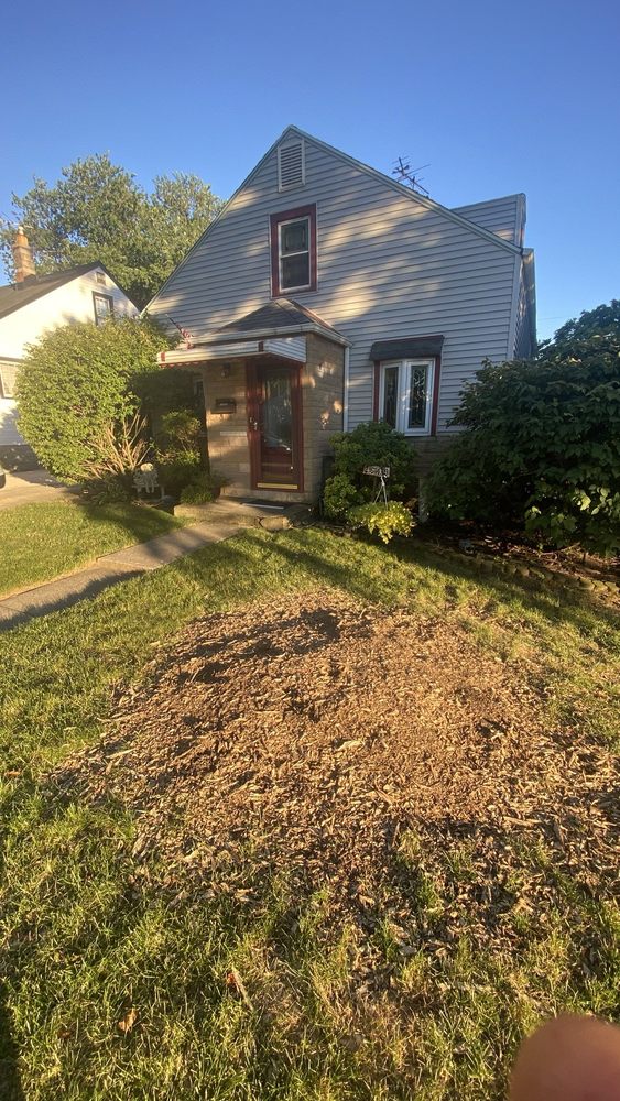 Prime Tree Care - tree service in Blue Island, IL