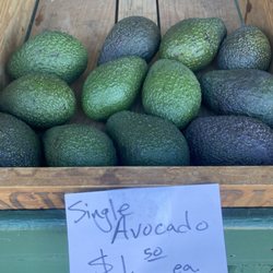 Jacinto Farms - Single avocados