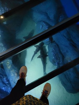 Singapore Oceanarium by null