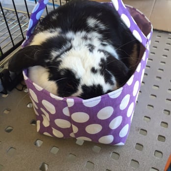 The Rivers - The Easter bunny. :))) - Swimming Pools Near Me - West Sacramento, California The Rivers - The Easter bunny. :))) - Swimming Pools Near Me - West Sacramento, California