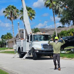 CN Tree Service