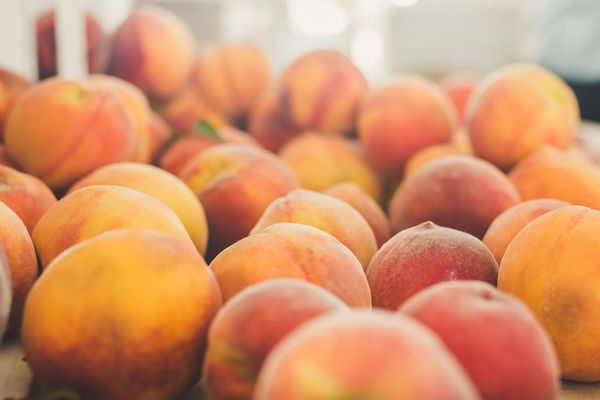 Oak Park Farmers Market by null