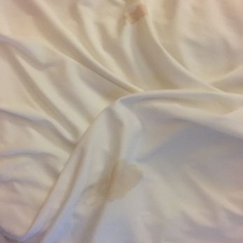 Days Inn by Wyndham Jefferson - These are the sheets off of the beds in the two rooms! - Hotels Near Me - Jefferson, North Carolina Days Inn by Wyndham Jefferson - These are the sheets off of the beds in the two rooms! - Hotels Near Me - Jefferson, North Carolina