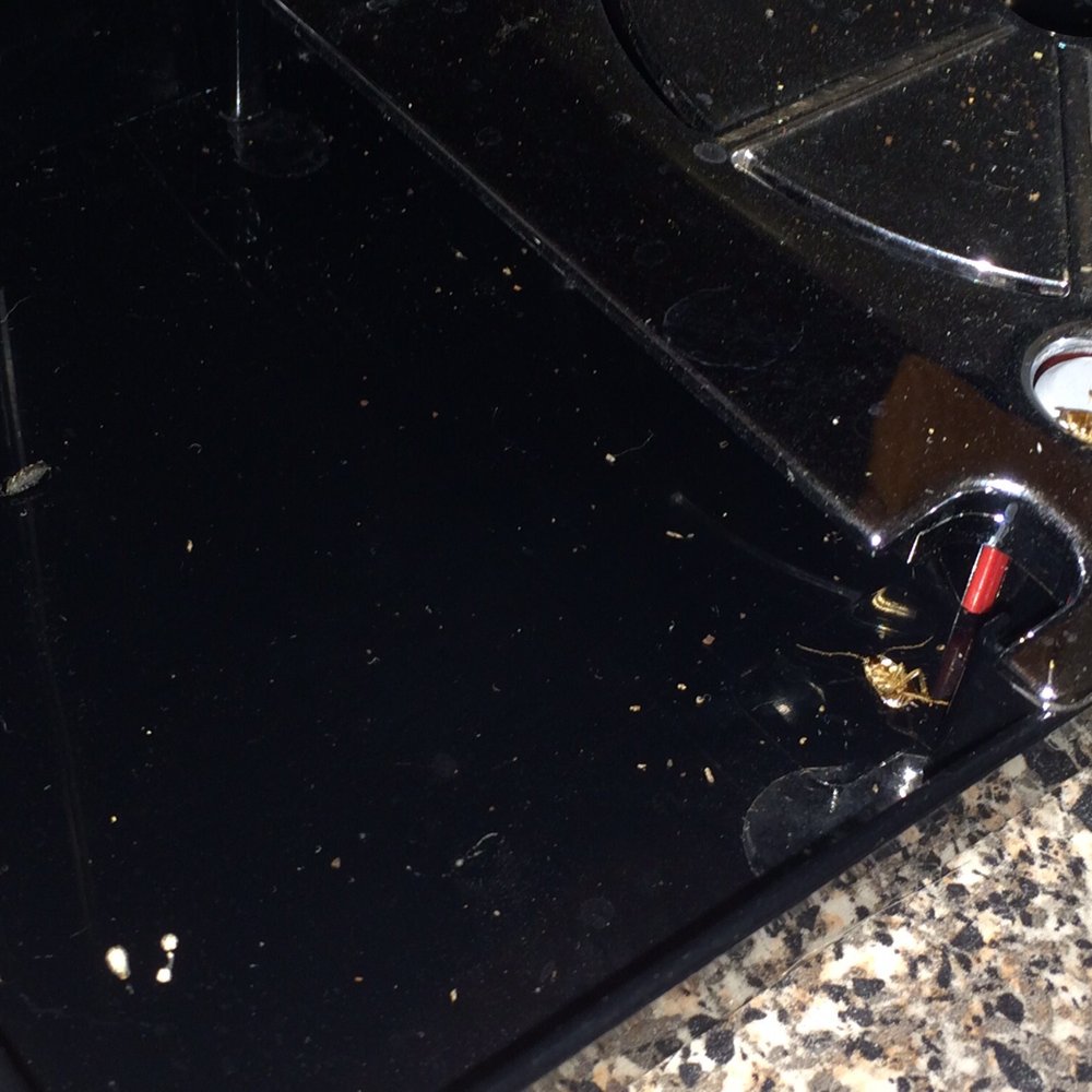 Brookdale Gardens - Keurig cockroach - Apartments Near Me - Bloomfield, New Jersey Brookdale Gardens - Keurig cockroach - Apartments Near Me - Bloomfield, New Jersey