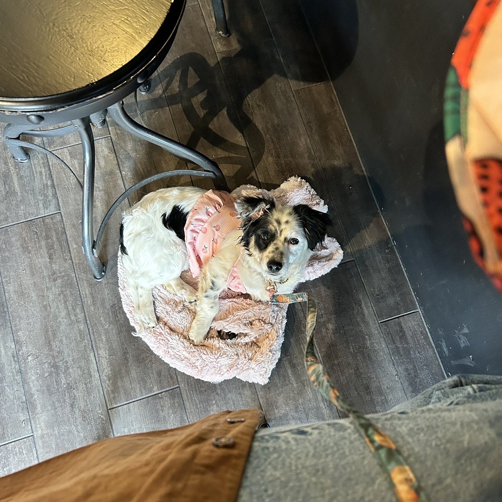 Two Cities Coffee Roasters - Princess Peach - Coffee Roasteries Near Me - Clovis, California Two Cities Coffee Roasters - Princess Peach - Coffee Roasteries Near Me - Clovis, California