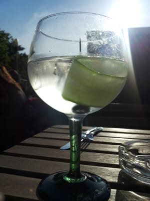 Mossel & Gin by null