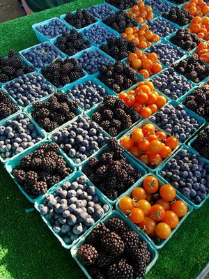 Lake City Farmers Market by null