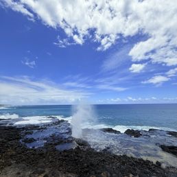 one of several blow holes