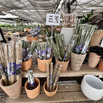 OC Succulents - Nurseries & Gardening Near Me - Irvine, California OC Succulents - Nurseries & Gardening Near Me - Irvine, California