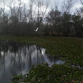 Ultimate Swamp Adventures - Tours Near Me - Westwego, Louisiana Ultimate Swamp Adventures - Tours Near Me - Westwego, Louisiana