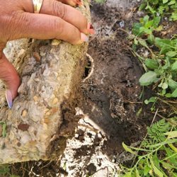 Mark Ondras Plumbing