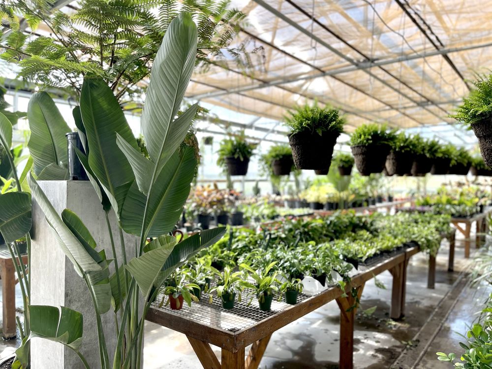 CULVER’S GARDEN CENTER & GREENHOUSE Updated September 2024 Request