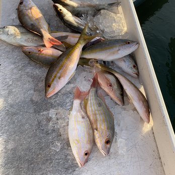 Nice Guy Charters - Great catch - Fishing Near Me - Key West, Florida