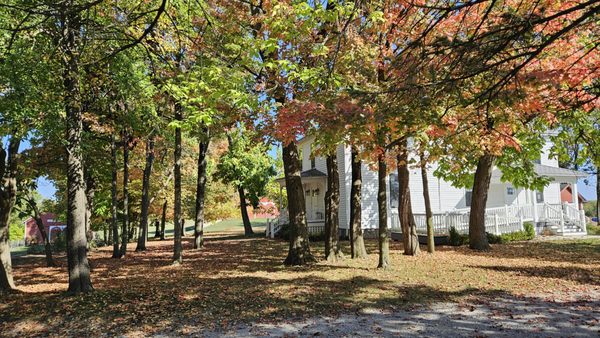 Salomon Farm Park by null