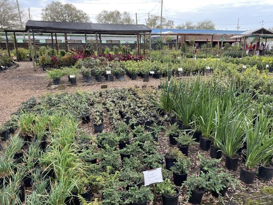 WILLOW TREE NURSERY - Updated April 2026 - 27 Photos &amp; 63 Reviews ...