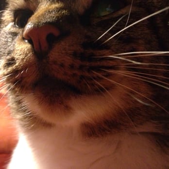 Optum - Glendale - Zekethewondercat - Family Practice Near Me - Glendale, California