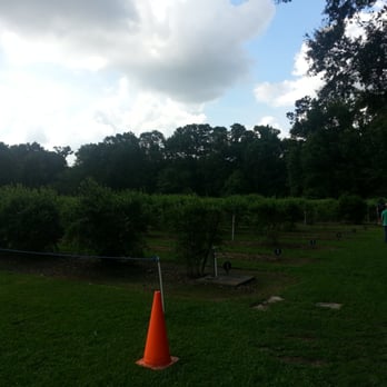 The Blueberry Farm - Party & Event Planning Near Me - Central, Louisiana The Blueberry Farm - Party & Event Planning Near Me - Central, Louisiana
