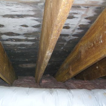 C & G Restorations - Visual Mold Growth Colonies within an Attic Area-Prior Remediation Services - Damage Restoration Near Me - Floral Park, New York C & G Restorations - Visual Mold Growth Colonies within an Attic Area-Prior Remediation Services - Damage Restoration Near Me - Floral Park, New York