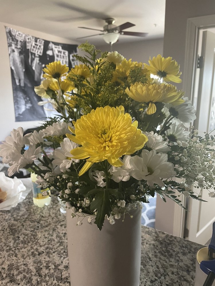 IVY & VIOLETTS Updated October 2024 116 W 3rd St, Brookston, Indiana Florists Phone